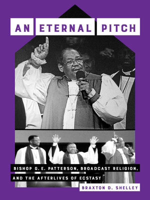 cover image of An Eternal Pitch